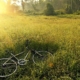 Fahrrad im Gras